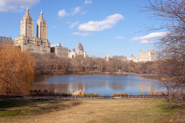 See im Central Park