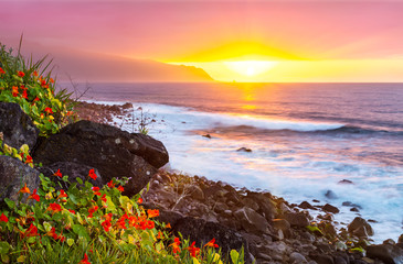 Pink sunset with flowers and the ocean on the north coast of Madeira Island, Portugal