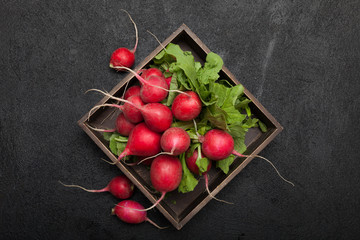 Fresh radish bunch, rustic agriculture background.