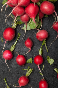 Red radish root plant. Black board, agriculture background.