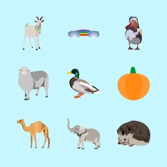 animals icons set