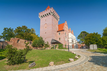 Fototapeta na wymiar Historical city center and reconstruction of the Castle King Przemyslaw in Poznan, Poland.
