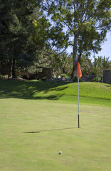 Obraz premium Golf course. Details