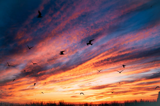 Evening Over Nantucket Sound