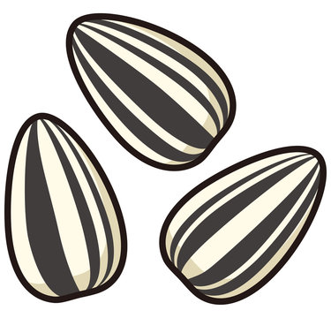 322 Best ひまわりの種 Images Stock Photos Vectors Adobe Stock 322 Best ひまわりの種 Images Stock Photos Vectors Adobe Stock