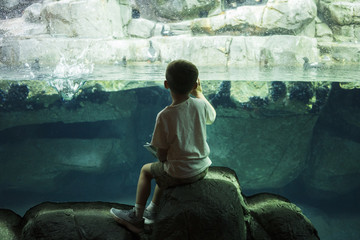 A little boy sitting by a tank in the aquarium to see the puffins