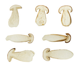 Macro - Collection of Sliced Boletus edulis ( king bolete ) isolated on white background, (high resolution)