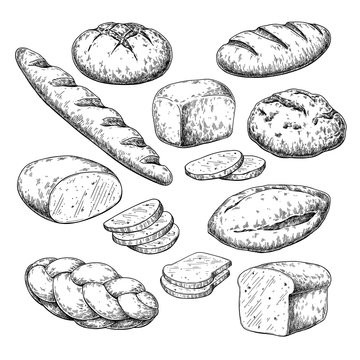 Bread vector drawing. Bakery product sketch. Vintage food 