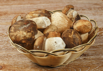 Boletus edulis ( king bolete ) in a basket  on wooden background