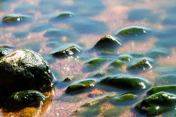 Stones under water on the beach line with green algae on.