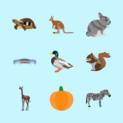 animals icons set