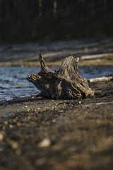 Russia, Siberia, Angara coast