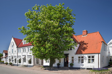 Gurtstig Dorfstraße in Keitum auf Sylt im Frühling