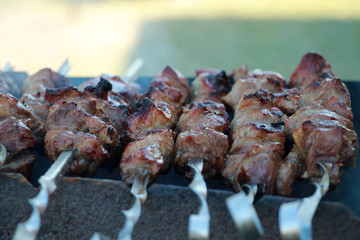 The tasty fried meat on skewers.