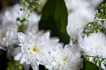 Close-up photo of bouquet of golden-daisy in a basket. Spring mood, macro lens