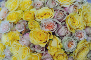 Bouquet of beauty yellow and shade pink roses