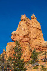 Fototapeta premium Winter Landscape in Bryce Canyon Utah