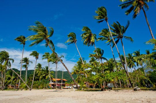 View of a typical Thai beach.
