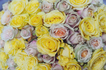Bouquet of yellow roses
