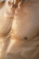Male sweaty torso