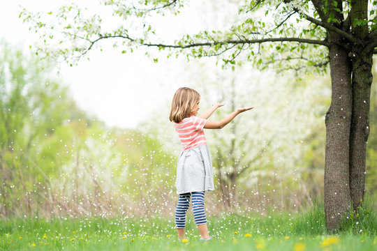 Girl catching blossoms falling from tree