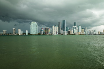 Downtown Miami Skyline