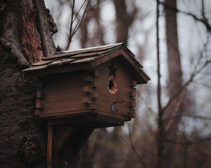 Birdhouse