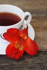 White Tea Cup Orange Red Flower Alstromeria Astromeria over Rustic Wooden Background. Copy space