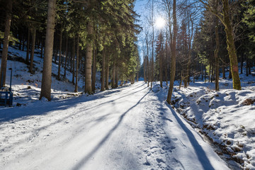 Wandern im verschneiten Erzgebirge