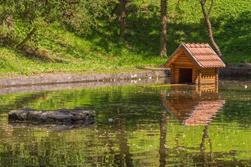 Fototapeta premium house on lake for water birds