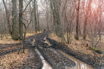 Fototapeta premium Dirty autumn road in a forest