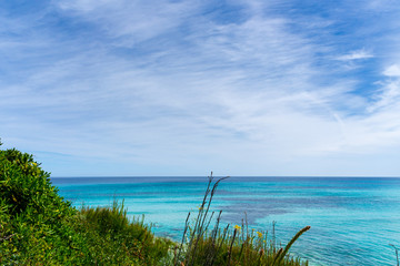 Mallorca, Green plants and colorful flowers with sun and blue endless sea horizon behind