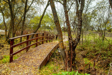 Camino y puente en colmenarejo
