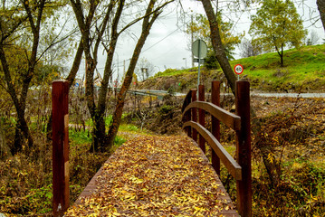 Puente y hojas en otoño