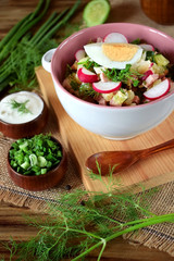 Ingredients for preparing the cold soup okroshka. Russian cuisine traditional meal