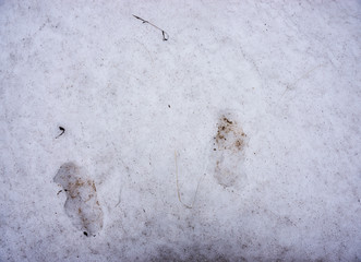 human footprints in the snow