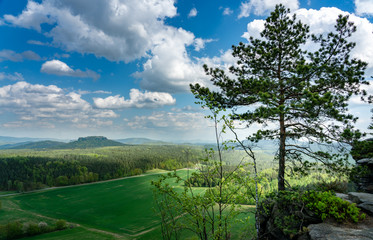 Plateau auf dem Pfaffenstein