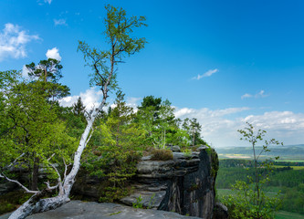 Plateau auf dem Pfaffenstein