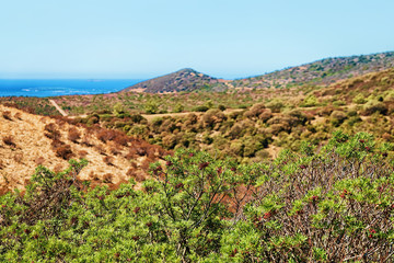 Landscape and Mediterranean Sea Teulada Cagliari Sardinia Italy