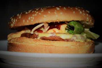 beautiful, appetizing hamburger on a white plate