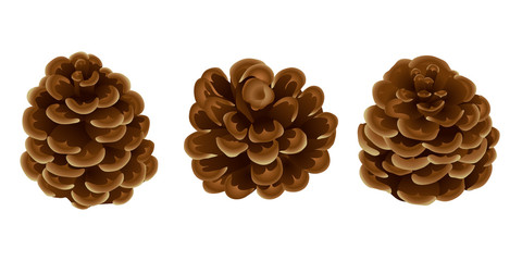 Pine cones on white background. Close-up . Christmas. isolated without a shadow. Drawing.