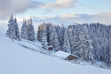 Fantastic winter landscape, the steps that lead to the cabin. Magic event in frosty day. In anticipation of the holiday. Dramatic scenes. Carpathian, Ukraine, Europe