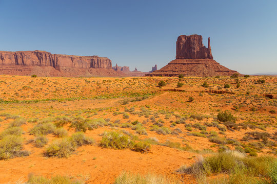 View on East Mitten Butte, Navajo Park. © Tomasz Wozniak
