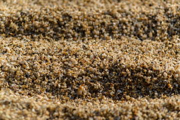 sand texture close-up background
