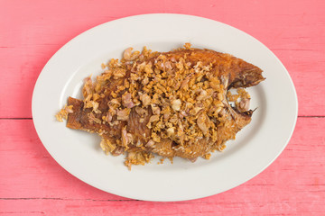 asia-asian food. thai food. fried nile tilapia river fish with garlic. on dish ceramic. on pink wood background