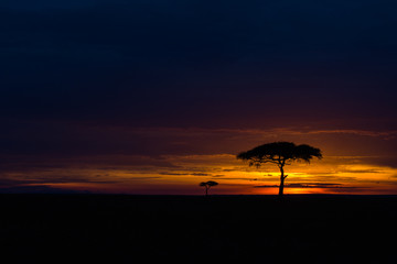 Obraz premium Masai Mara at sunset