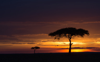 Masai Mara at sunset
