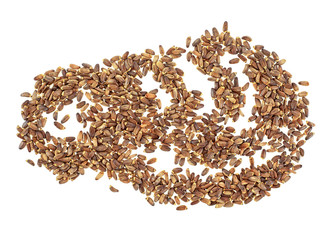 Seeds of a milk thistle on white background, top view. Scotch Thistle.