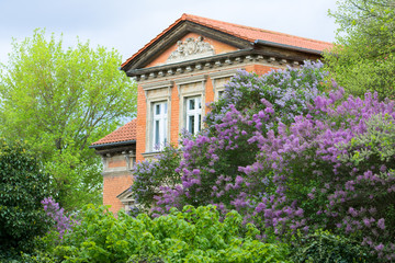 Nice pink mansion surrounded by green trees. 
