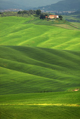 Summer landscape in Tuscany, Italy, Europe